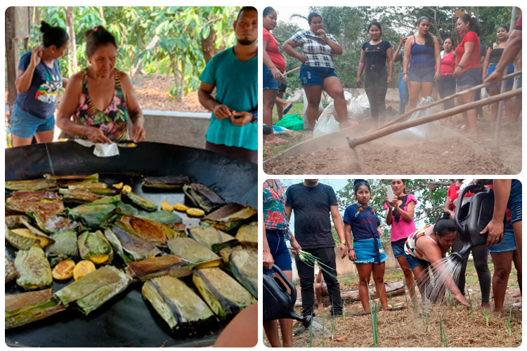 Agricultor Agroflorestal - Humaitá.png
