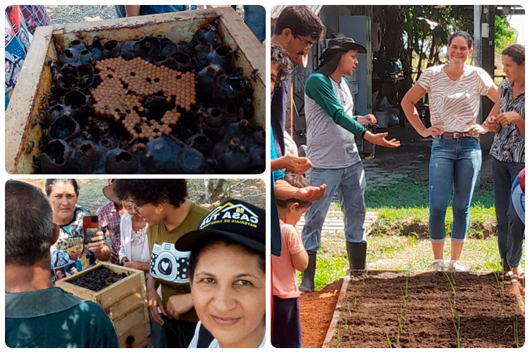 Agricultor Orgânico - Humaitá.png