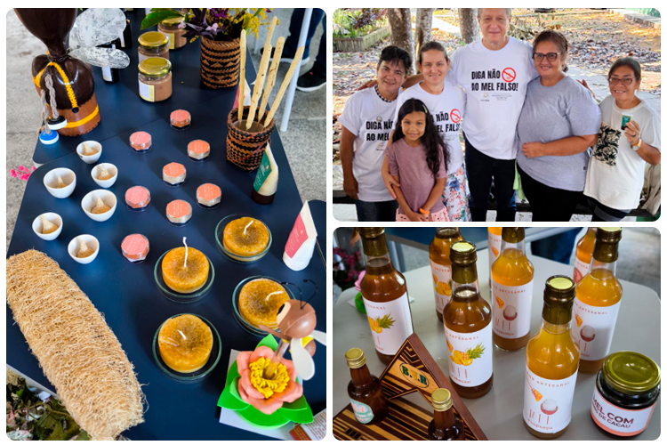 Meliponicultor  - CMZL.png